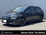 日産 リーフ e+ G プロパイロット　メーカーナビ　寒冷地