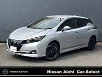 日産 リーフ e+ G プロパイロット　全周囲カメラ　BOSE