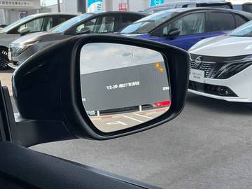 複数画像30