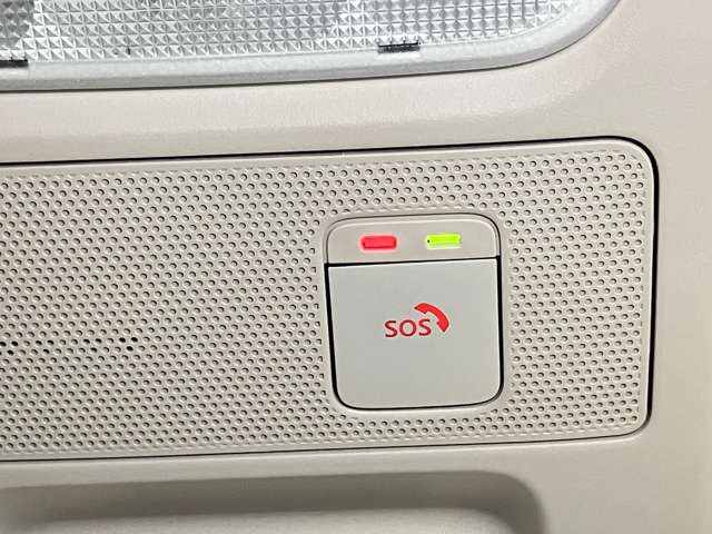 複数画像51