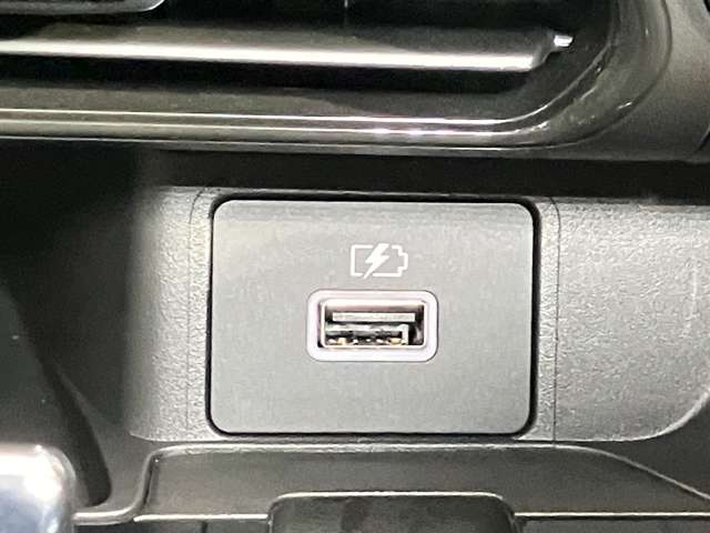複数画像30