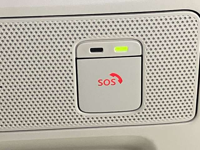 複数画像30