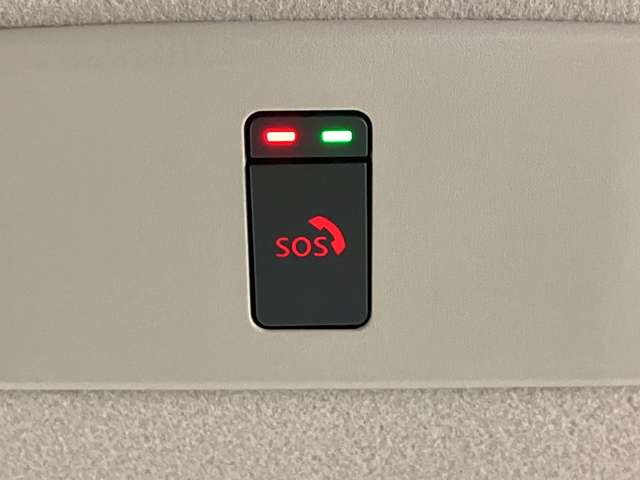 複数画像30