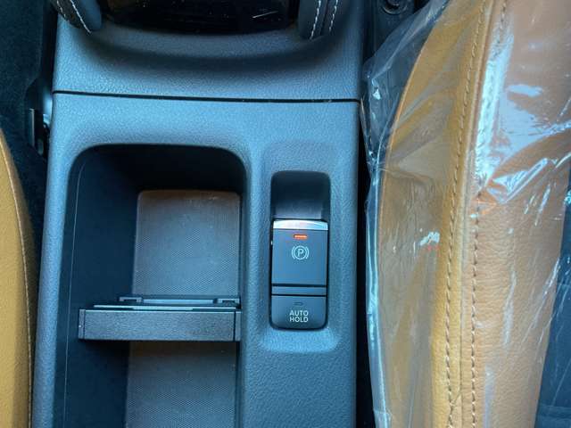 複数画像31