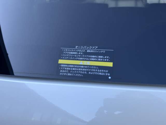 複数画像41