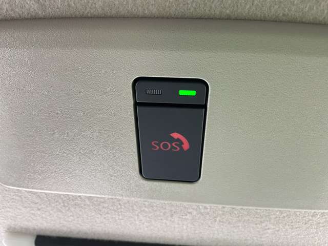 複数画像50