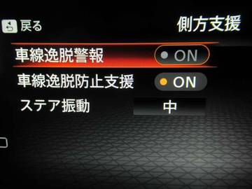 複数画像40