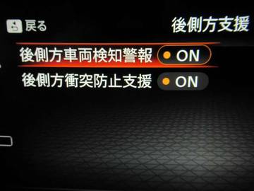 複数画像41