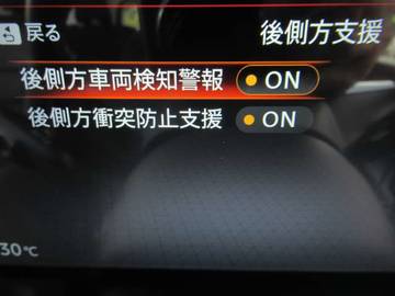複数画像41
