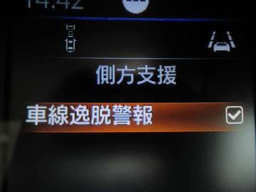 複数画像44