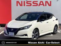 日産 リーフ アーバンクロム