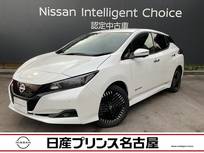 日産 リーフ X Vセレクション メ-カ-純正ナビTV プロパロット 寒冷地仕様