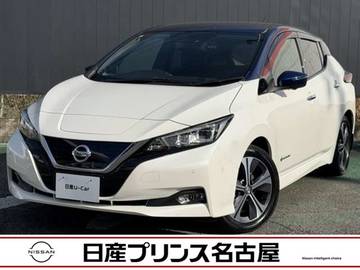 G プロパイロット　純正ナビ　寒冷地