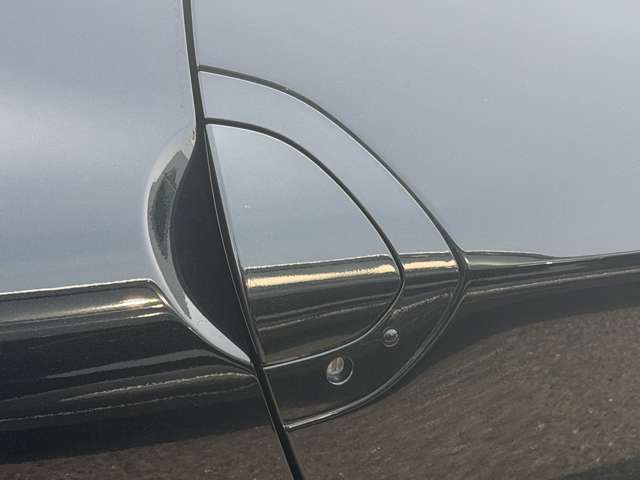 複数画像30