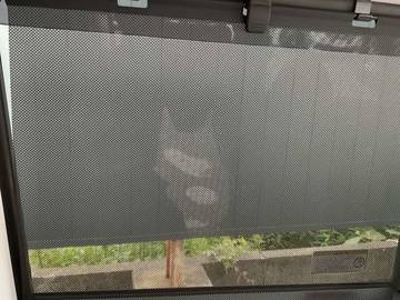 複数画像24