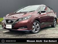 日産 リーフ e+ アーバンクロム NISSANコネクトナビ　プロパイロット