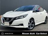 日産 リーフ X 10万台記念車 NISSANコネクトナビ　プロパイロット