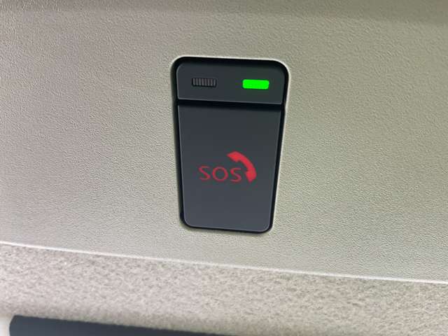 複数画像50