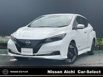 日産 リーフ e+ X NISSANNコネクトナビ　プロパイロット