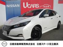 日産 リーフ e+ G プロパイロット・NCナビ・AVM・BOSEサウン
