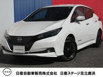 日産 リーフ e+ G プロパイロット・NCナビ・AVM・本革シート