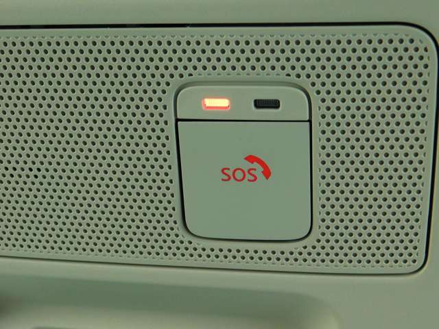 複数画像30
