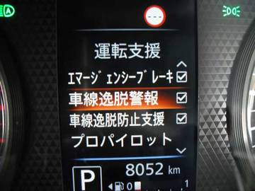 複数画像46