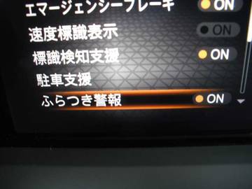 複数画像44