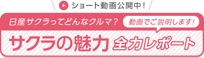 サクラの魅力 全力レポート 動画でご説明します！